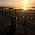 Genieten In Wenduine