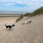 Genieten In Wenduine * De Haan