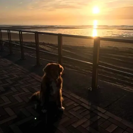 Genieten In Wenduine