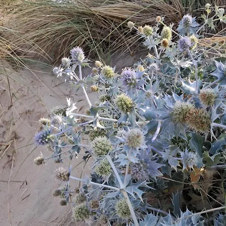 Genieten In Wenduine Дом отдыха